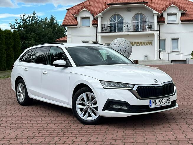 Octavia 2.0 TDI | 2023 | Serwis ASO | Salon PL | 116 KM | automat Nowe Iganie - zdjęcie 6