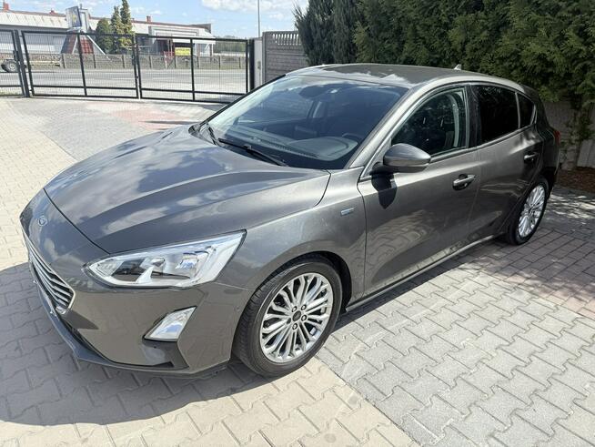 Ford Focus ecoblue Zielona Łąka - zdjęcie 1