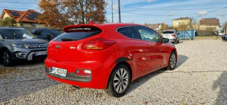 Kia Pro Cee'd Super Stan Bezwypadkowy 1.4 Płock - zdjęcie 11
