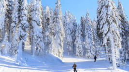Ksiązka Defendu WK1 Narciarstwo biegowe Poland Gniezno - zdjęcie 2