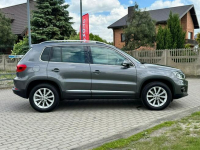 Volkswagen Tiguan *Lifting*BDB stan* Zduńska Wola - zdjęcie 12