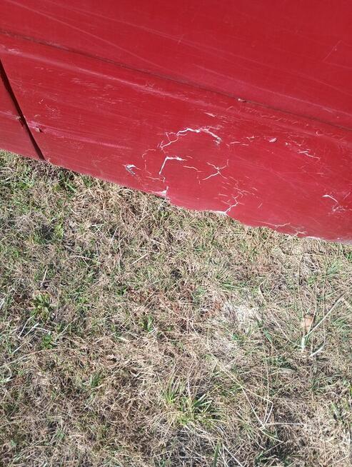 Sprzedam Puszczew - zdjęcie 6