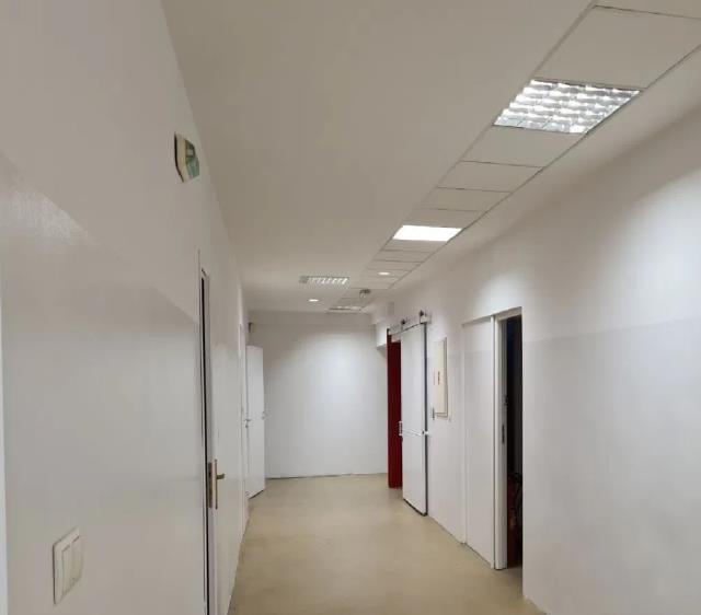 Lokal na wynajem Kobyłka Kobyłka - zdjęcie 9