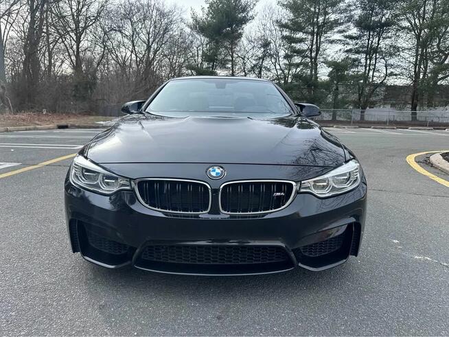 Piękna, bardzo dobrze utrzymana czarna perła Bliżyn - zdjęcie 7