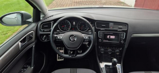 Volkswagen Golf Paproć - zdjęcie 11