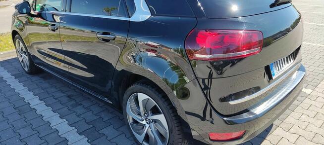 Sprzedam Moją Cytrynkę Nowe Miasto Lubawskie - zdjęcie 5