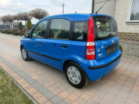 Fiat Panda Klimatyzacja bezwypadkowy !!! Rzeszów - zdjęcie 7