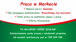 Praca w Markecie Dino Snowidza