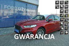Liftback Titanium 2,0 EcoBlue 150KM A8 ASO Gwarancja Ford Używane