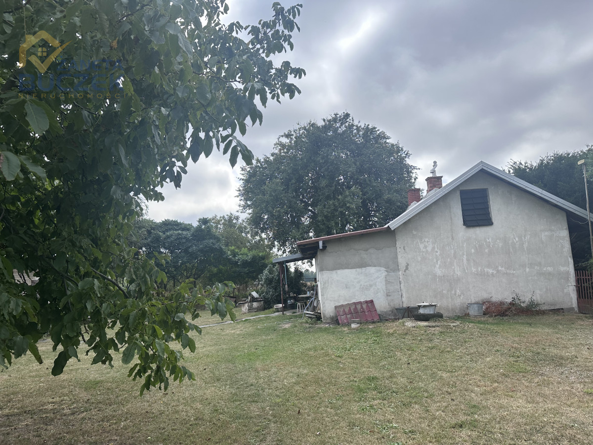 Działka rolna z budynkami - Pasikonie gm.Kampinos Pasikonie - zdjęcie 8