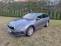 Skoda Octavia 2023 1.0 TSI e-TEC HYBRYDA automat orginalny przebieg Nowy Sącz - zdjęcie 2