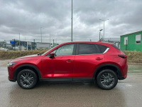 Mazda CX-5 xsenon salon polska   1 własciciel Lębork - zdjęcie 4