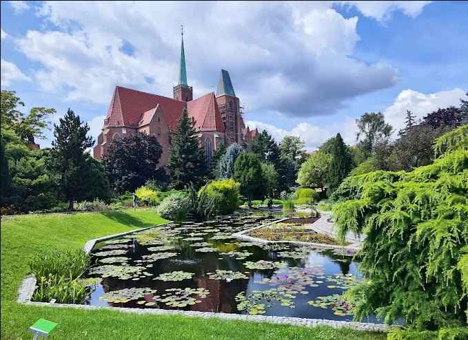 2pok, 35met, okolice Piaskowej ROZKŁAD/PIWNICA (Wrocław) Stare Miasto - zdjęcie 1