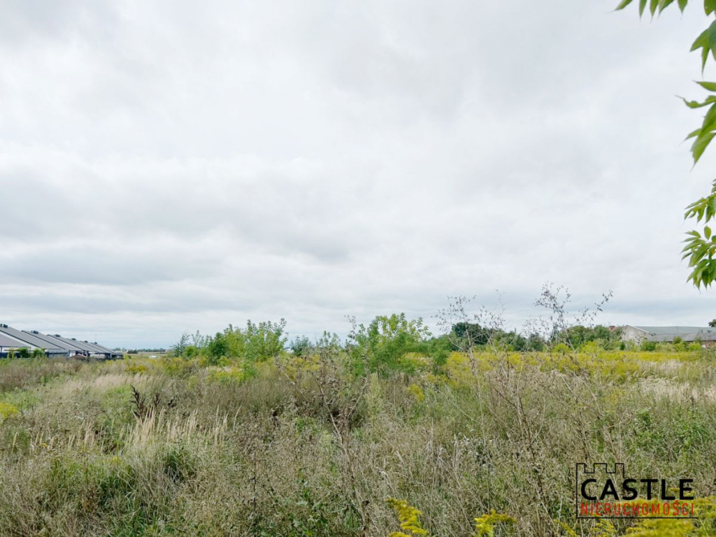 Działka budowlana – super miejsce do życia Dopiewiec - zdjęcie 4