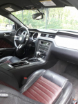 Ford Mustang 3.7 V6 Cyclone 305 KM | Bogata wersja PREMIUM | Katowice - zdjęcie 6
