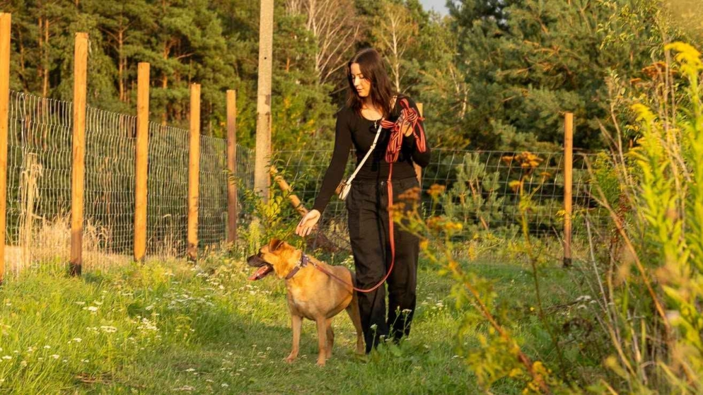 Aza - przyjazna, kochana sunia szuka domu Olsztyn - zdjęcie 4