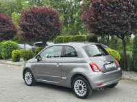 Fiat 500 1.2 benzyna / I-właściciel / Serwisowany / Bezwypadkowy Skępe - zdjęcie 4