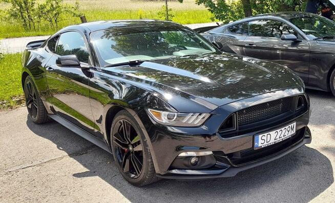 Mustang turbo, performance pack + premium pack + modyfikacje Chruszczobród - zdjęcie 1