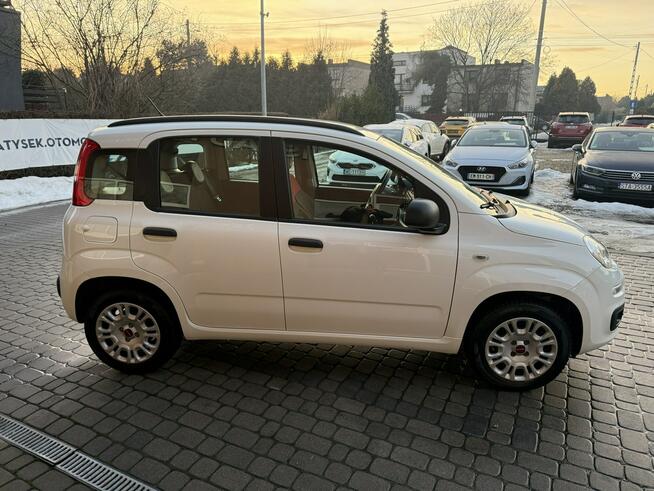 Fiat Panda 1,2 69KM  Klimatyzacja  Serwisowany  1Właściciel Orzech - zdjęcie 5