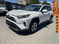 Toyota RAV-4 Executive Hybryda 4x4 Kamery360 Skóra Wentulacja