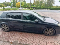 Sprzedam Opel Signum 2005r Piekary Śląskie - zdjęcie 2