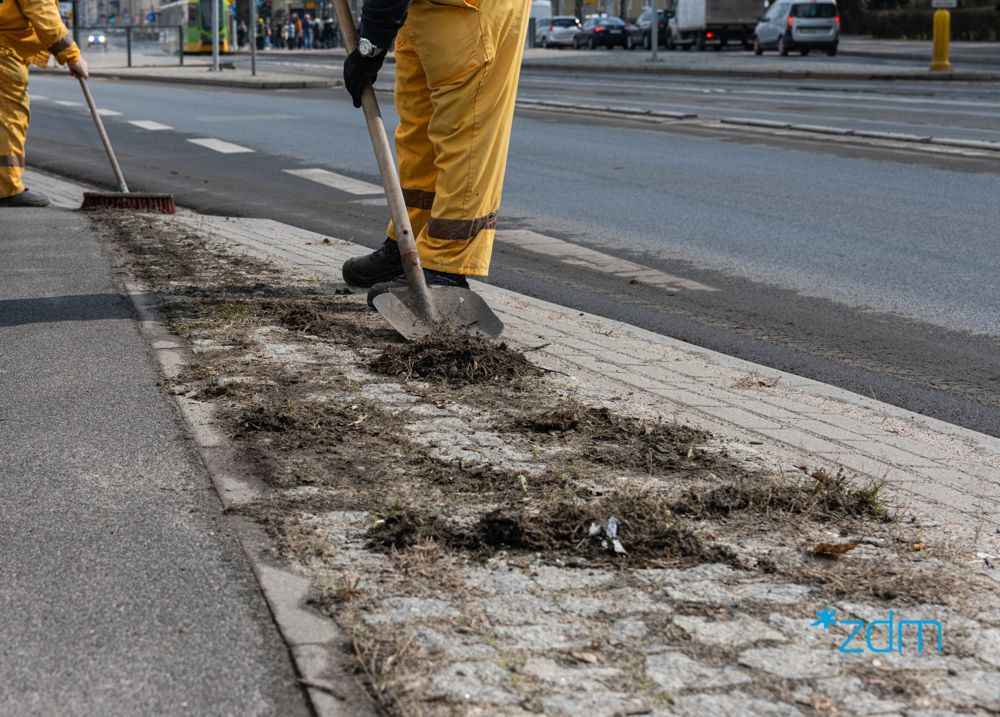 Szukam Fuchy Prosze czytac opis! Bochnia - zdjęcie 1