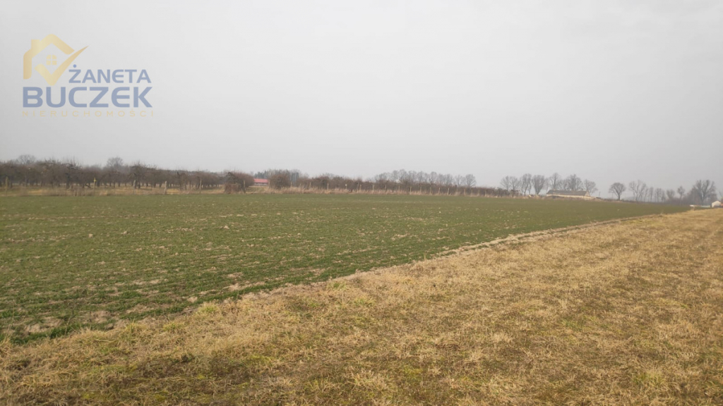 Sprzedam działki rolne z WZ w Strzyżewie Strzyżew - zdjęcie 5