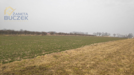 Sprzedam działki rolne z WZ w Strzyżewie Strzyżew - zdjęcie 5