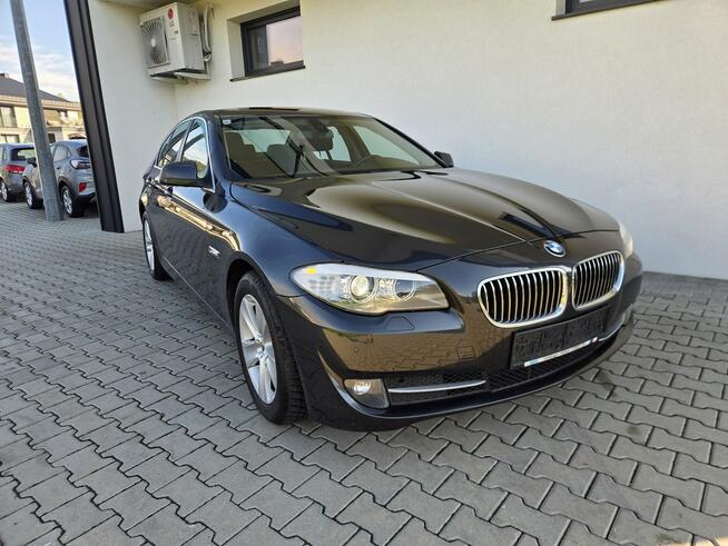 BMW 523 204kM * xenon * LEDY * klimatronic PDC Raba Niżna - zdjęcie 1