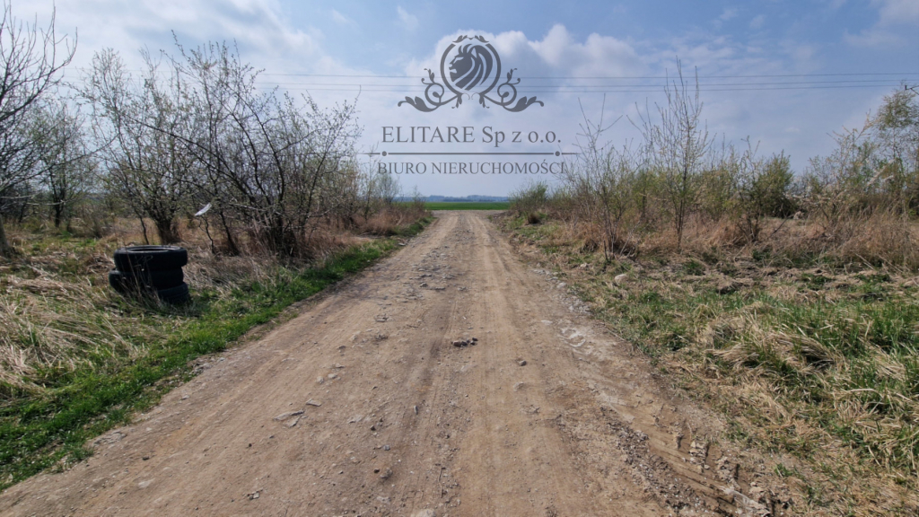 Piekna działka budowlana, połozona w cichej i zielonej okloicy. Lutynia - zdjęcie 11