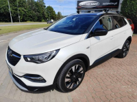 Opel Grandland X 2020/SALON POLSKA/1 WŁ/serwis ASO/gwarancja Ełk - zdjęcie 5