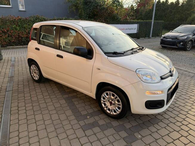Fiat Panda 1,2 69KM  Klimatyzacja Orzech - zdjęcie 4