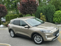 Ford Kuga 1.5 EcoBlue 120KM Titanium / Salon PL I-właściciel Skępe - zdjęcie 3