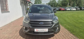 Ford Kuga ST-LINE-KAMERA-START-STOP Paproć - zdjęcie 2