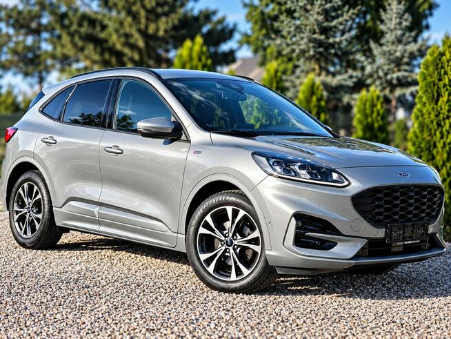 Ford Kuga Sadlno - zdjęcie 1