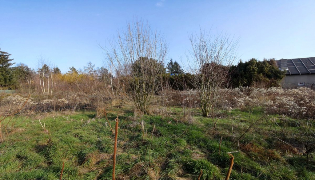 Działka nad jeziorem. Strykowo - zdjęcie 5