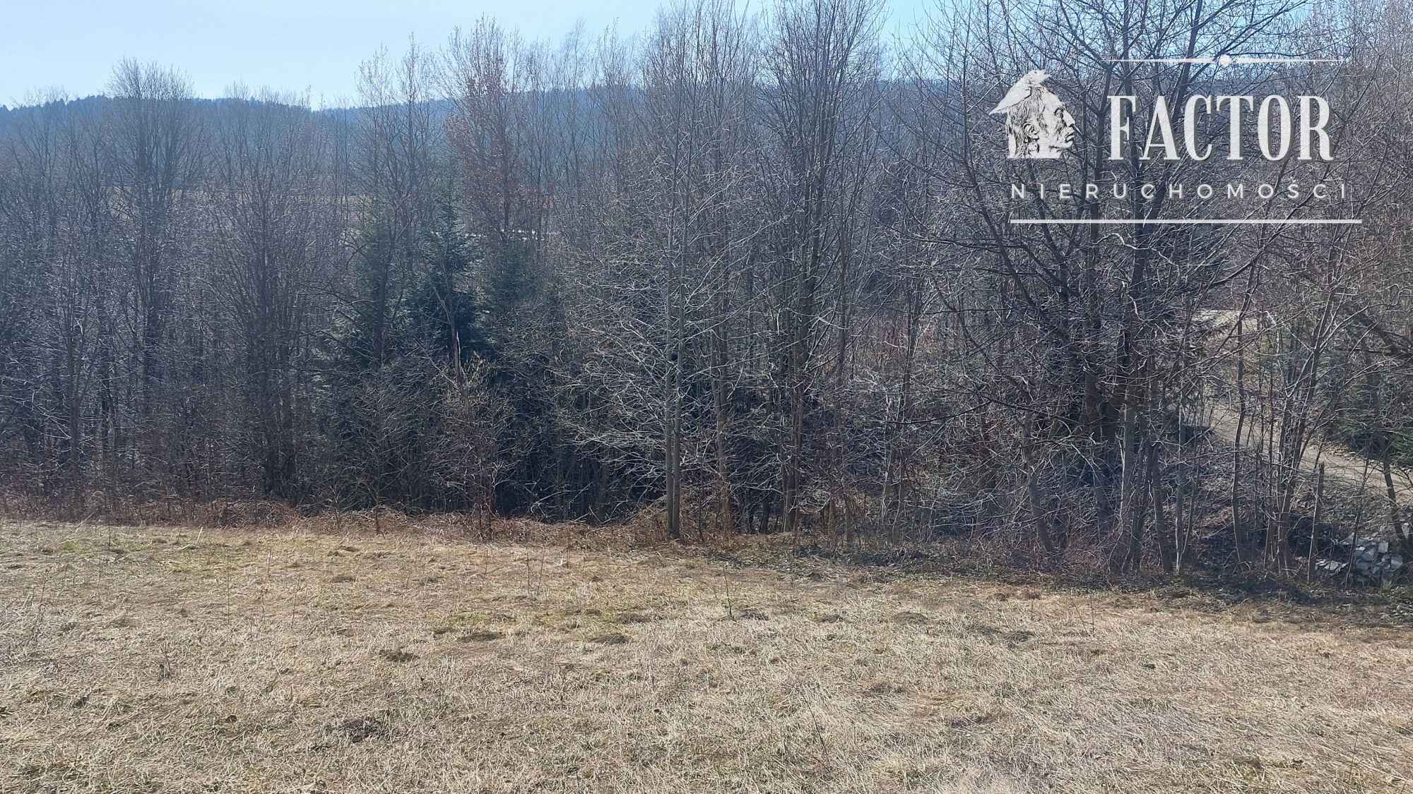 Działka budowlano-rolna 18,46 ara – Bieśnik, gm. Łużna, 1184S/2026 Bieśnik - zdjęcie 6