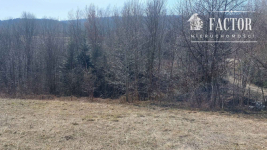 Działka budowlano-rolna 18,46 ara – Bieśnik, gm. Łużna, 1184S/2026 Bieśnik - zdjęcie 6