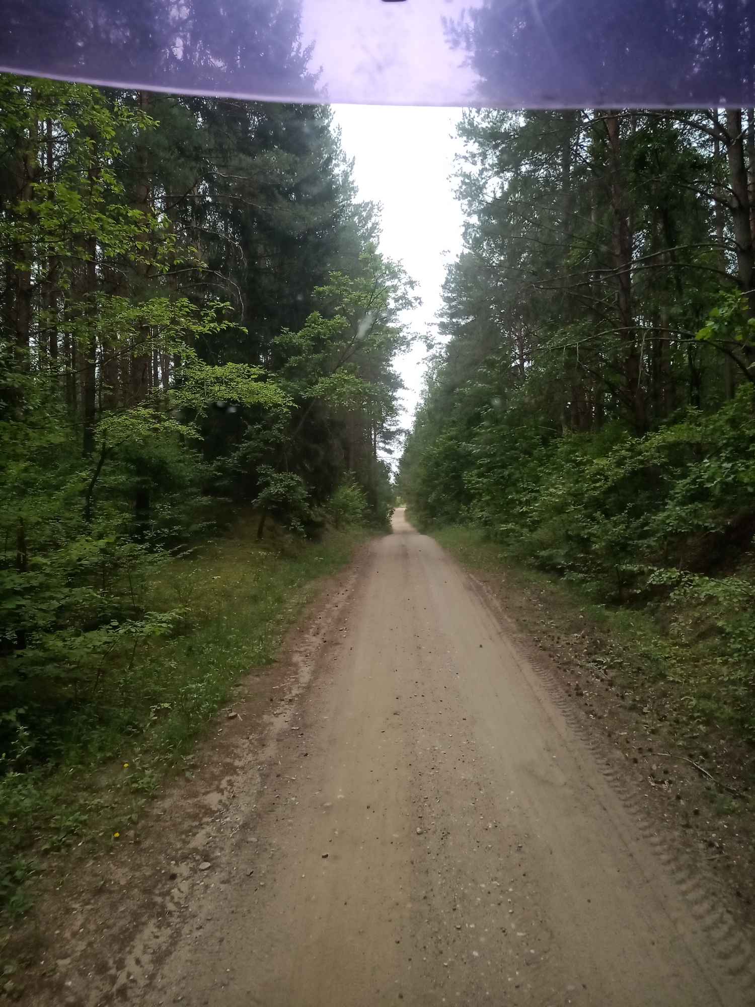 Dyskretna przyjaźń Suwałki - zdjęcie 1