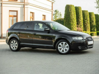 Audi A3 Podzagajnik - zdjęcie 3