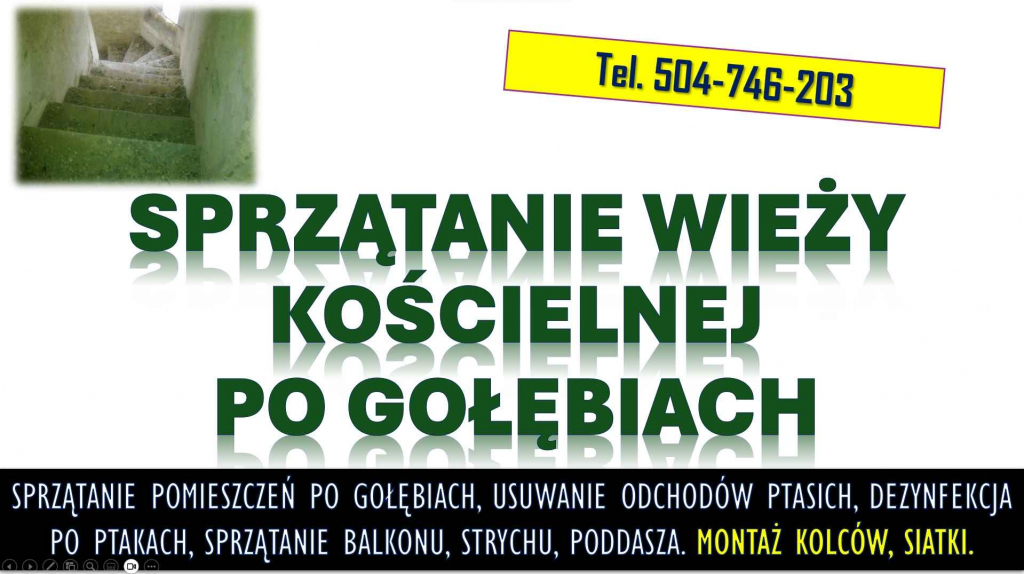Sprzątanie wieży kościelnej po gołębiach. T.504746203 Ptasich odchodów Psie Pole - zdjęcie 1