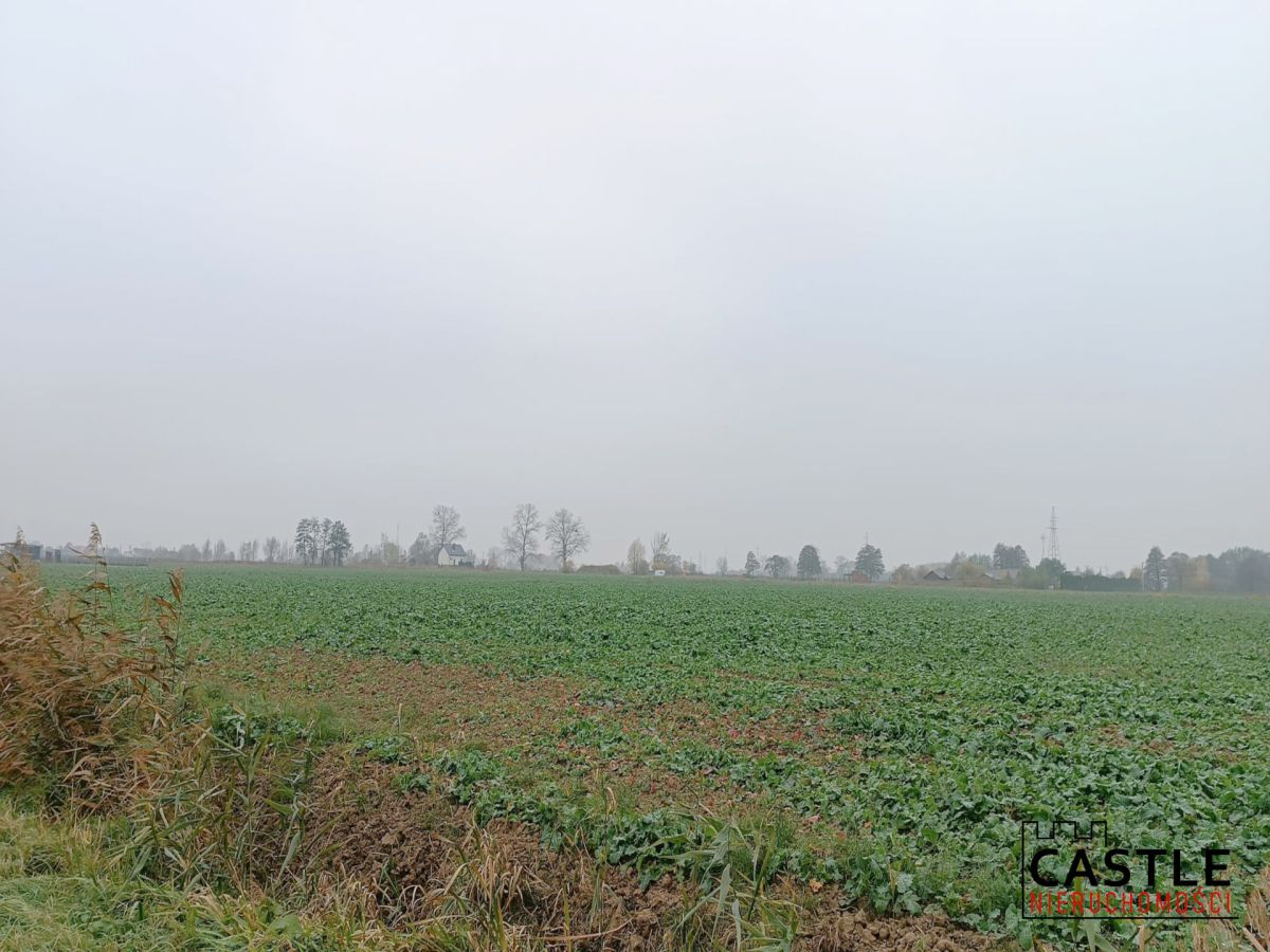 IKąty Rybackie I Zalew Wiślany I spokojna okolica Kąty Rybackie - zdjęcie 9