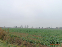 IKąty Rybackie I Zalew Wiślany I spokojna okolica Kąty Rybackie - zdjęcie 9