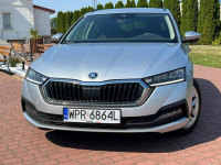 SKODA Octavia 1.5 Tsi | 2023 | Benzyna | Manual | Serwis ASO| Salon PL Nowe Iganie - zdjęcie 10