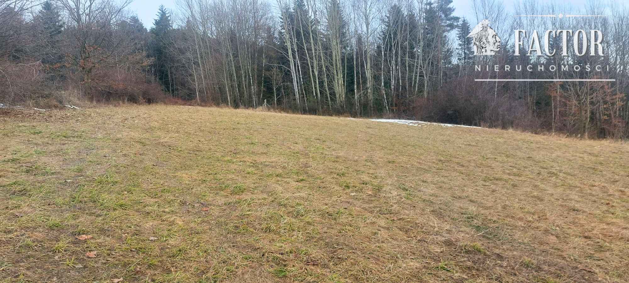 Działka budowlana 1,07 ha – Siary, gm. Sękowa 1170S/2026 Siary - zdjęcie 5