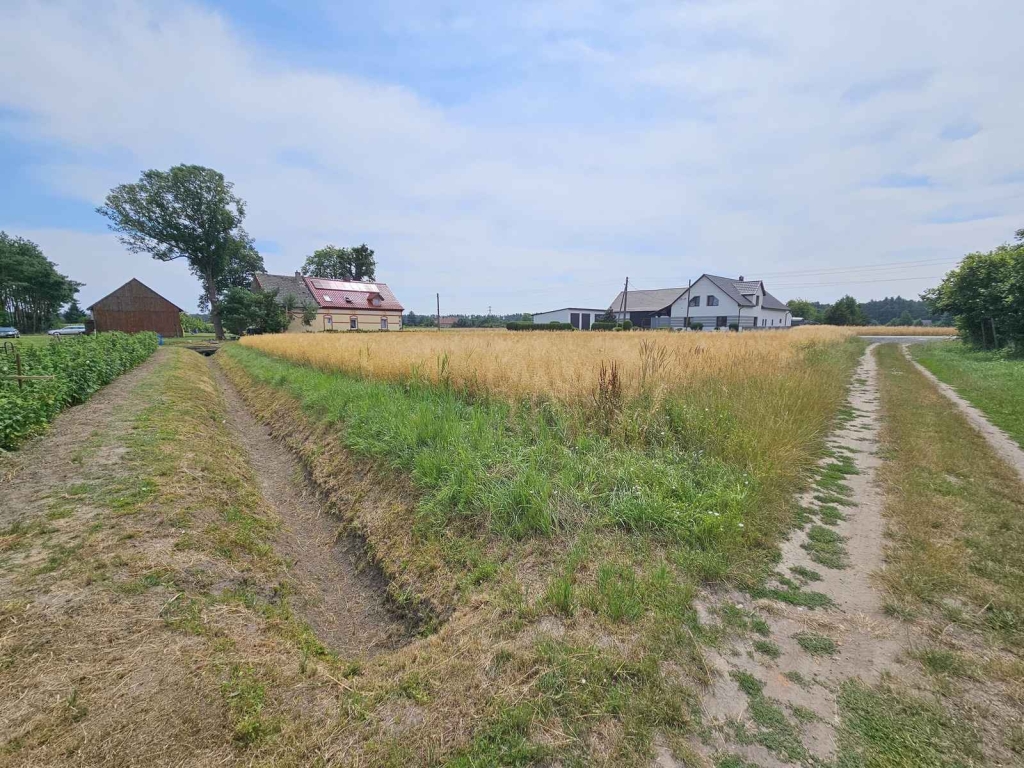Działka Budowlana (2000 m2) MEDIA (Brzozowiec) Brzozowiec - zdjęcie 2