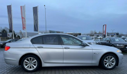 BMW 520 nowy rozrząd duża navi bi-xenon skóra Żory - zdjęcie 9