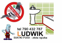 Złota rączka Ludwik Opole