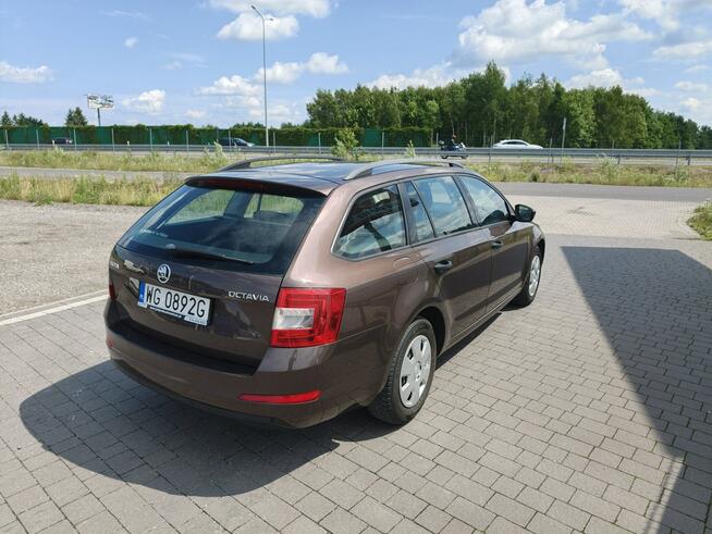 Škoda Octavia Lipówki - zdjęcie 12