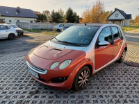 Smart Forfour 1.1 04r Brzozówka - zdjęcie 2